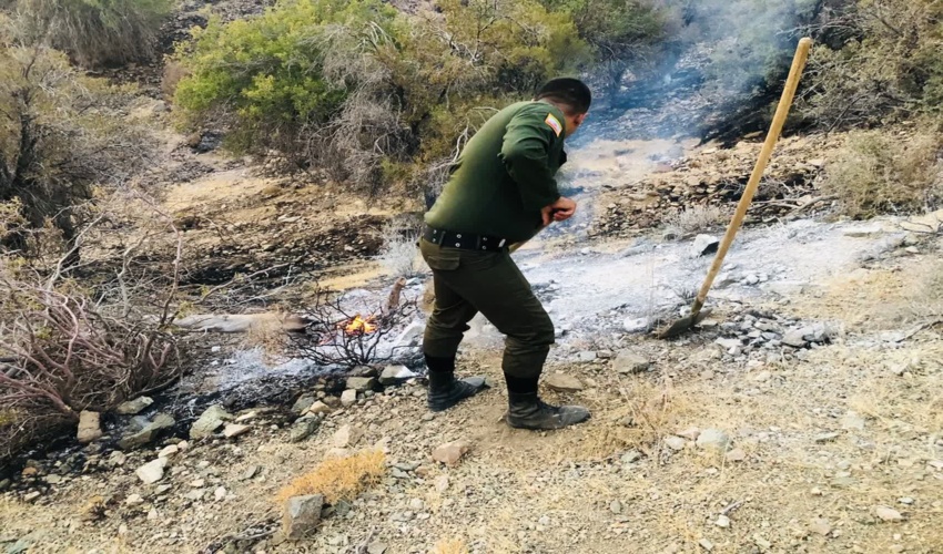 آتش سوزی عرصه های منابع طبیعی جبالبارز شهرستان جیرفت مهار شد
