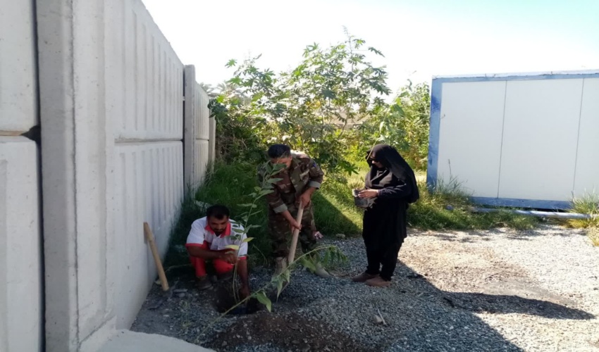 غرس چند اصله نهال در محل پایگاه هلال احمر فاریاب
