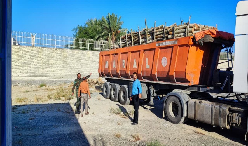 کشف و ضبط 20 تُن چوب بدون مجوز حمل در شهرستان فاریاب
