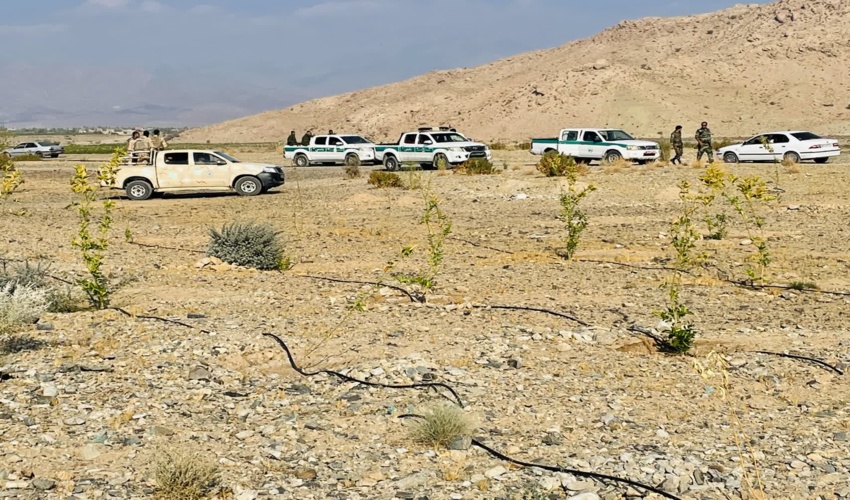 ️بیش از ۱۷ هکتار از اراضی ملی شهرستان عنبرآباد رفع تصرف شد