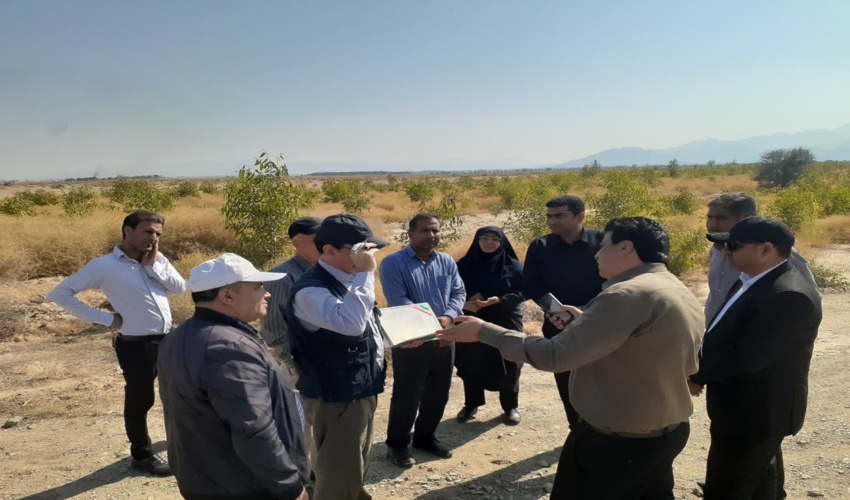 بازدید پروژه های بخش جنگل و زراعت چوب سال ۱۴۰۲ و ۱۴۰۳ شهرستان کهنوج