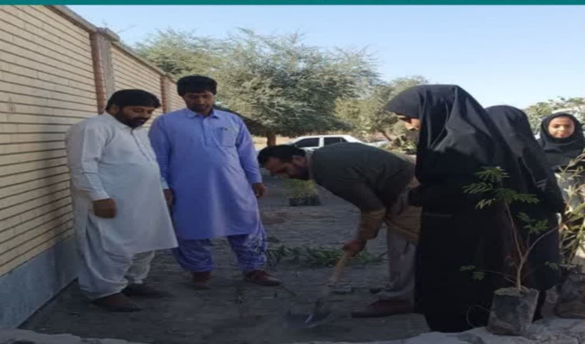 غرس  ۱۵۰ اصله نهال در مدرسه دبیرستان دخترانه شهید خرازی