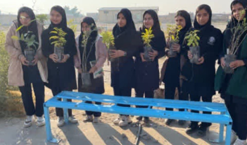 غرس ۱۰۰ اصله نهال در مدارس عشایری عنبرآباد