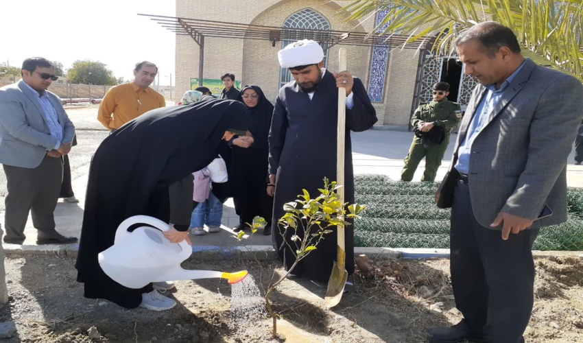 برگزاری پویش درختکاری سراسری در سایه مادر در شهرستان کهنوج