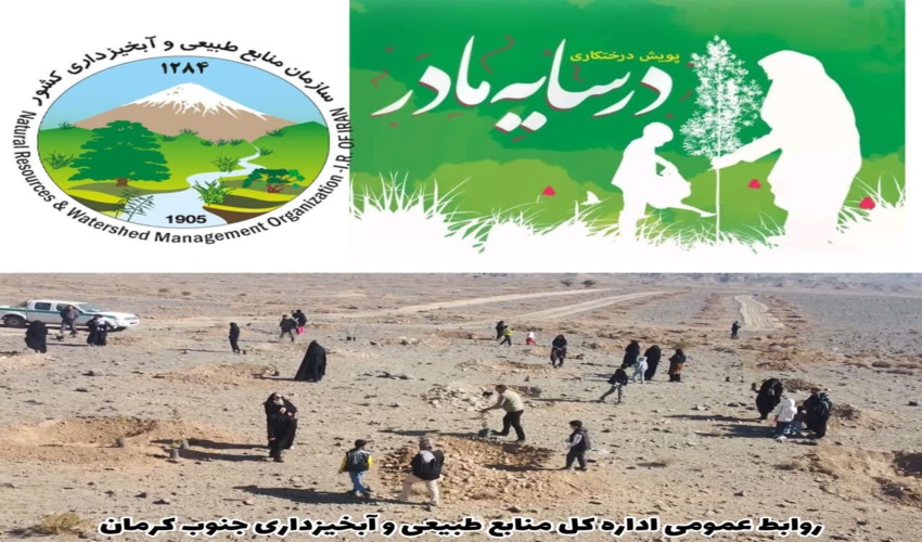 کاشت نهال به نام عزیزان