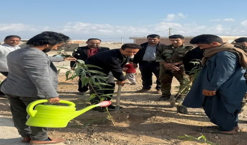  برگزاری پویش درختکاری به یاد سردار دلها در شهرستان عنبرآباد