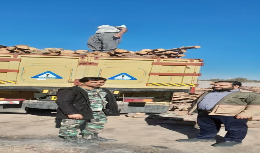 کشف و ضبط ۴ تُن چوب بدون مجوز حمل در شهرستان رودبارجنوب