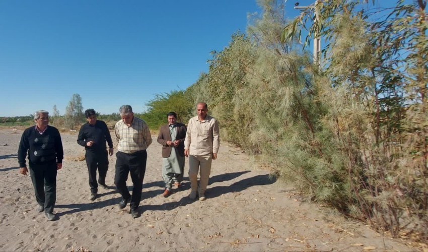 بازدید، مدیرکل دفتر امور بیابان سازمان منابع طبیعی و آبخیزداری کشور از پروژه احداث بادشکن زنده اطراف مزارع شهرستان جازموریان 