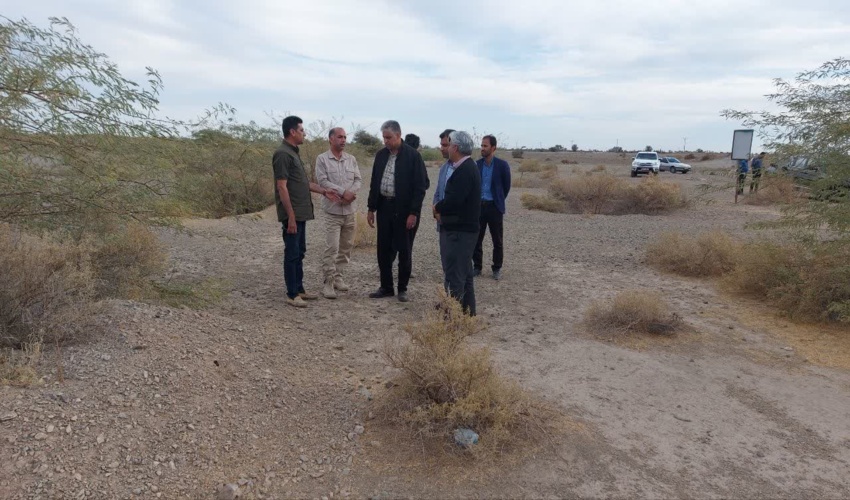 بازدید، مدیرکل دفتر امور بیابان سازمان منابع طبیعی و آبخیزداری کشور از پروژه نهالکاری عرصه‌های بیابانی شهرستان رودبارجنوب 