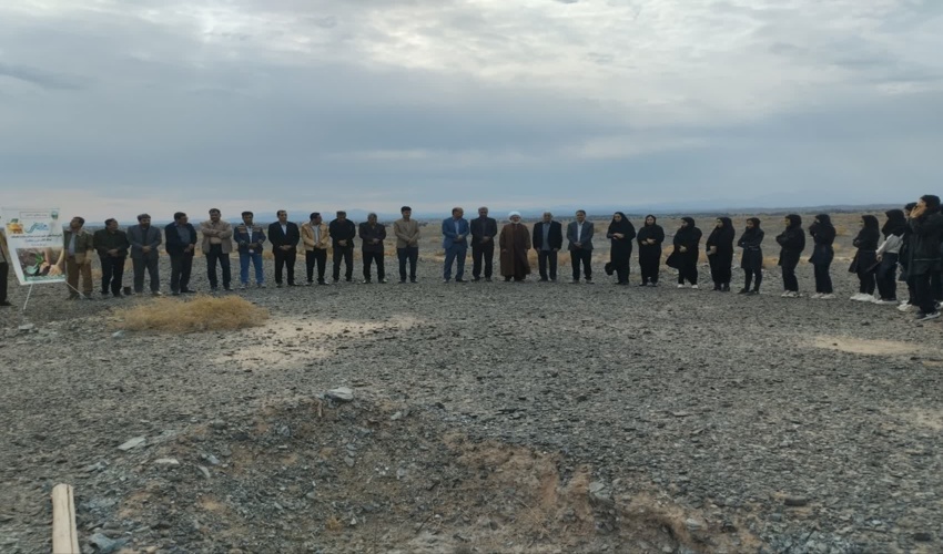 کاشت نهال به یاد پدران؛ پویش درختکاری در قلعه گنج با حضور گسترده دانش‌آموزان و خانواده‌ها