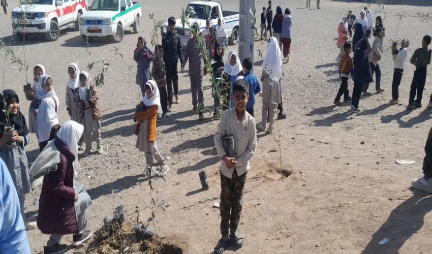 برگزاری پویش درختکاری بمناسبت گرامیداشت دهه مبارک فجر در روستای فیروز آباد شهرستان رودبارجنوب 