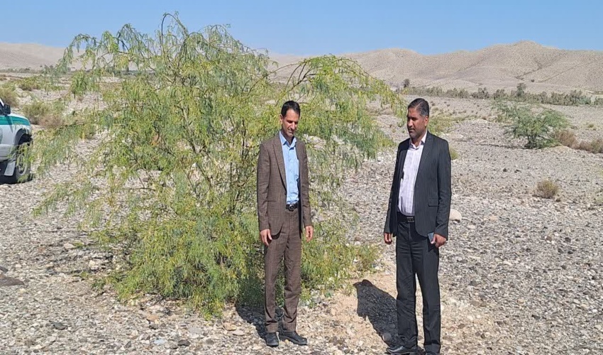 بازدید از پروژه آبیاری و مراقبت جنگلکاری  کوگوئیه بخش اسماعیلی جیرفت