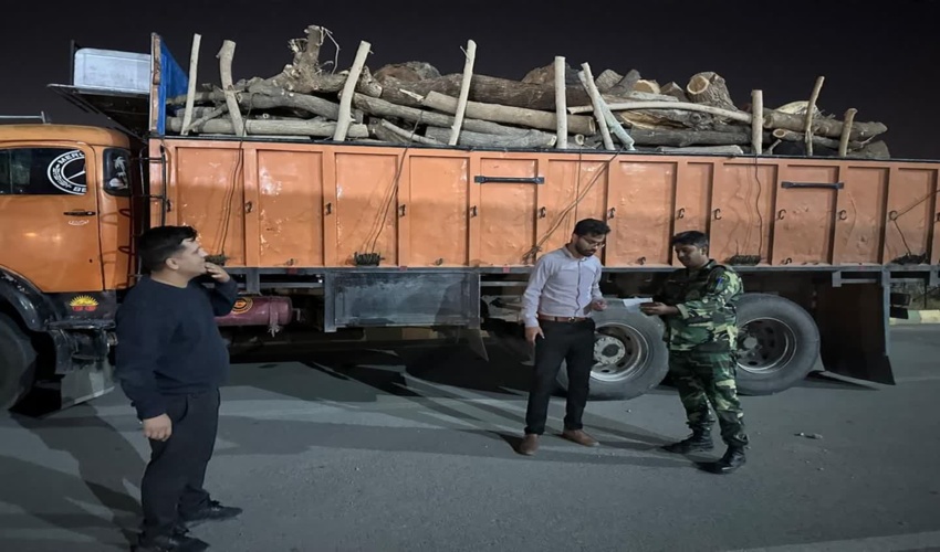 کامیون حامل چوب بدون مجوز حمل در شهرستان جیرفت توقیف شد