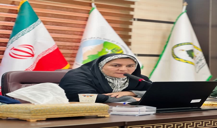 پشتیبانی قاطع فرماندار جیرفت از منابع طبیعی: وعده تخصیص بودجه ویژه در سال ۱۴۰۴