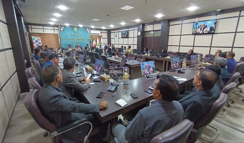 درخشش منابع طبیعی جنوب کرمان در اجرای پروژه‌های آبخیزداری؛ کسب رتبه برتر در سند ششم توسعه