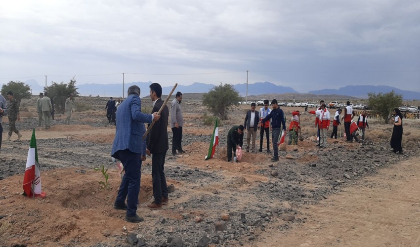 جان ایران با دستان سبز مردم زنده شد/ طبیعت دوستان با کاشت نهال به استقبال بهار رفتند