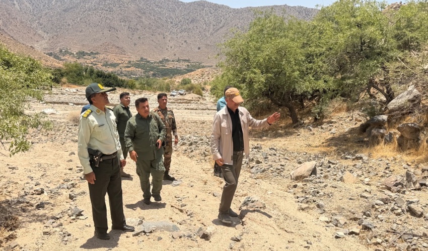 ذخیره‌گاه جنگلی انار شیطان؛ میراثی کم‌نظیر در جنوب کرمان
